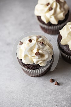 Rich chocolate cupcakes with whipped cream frosting and chocolate chips