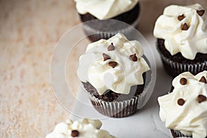 Rich chocolate cupcakes with whipped cream frosting and chocolate chips