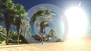 Rich exotic plant life on desert later in the day, 3d rendering