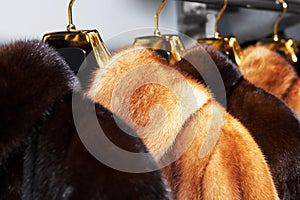 Rich female fur coats