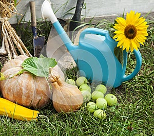 Rich Harvest in the Garden of the high beds and Garden Tools Pu