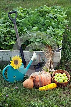 Rich Harvest in the Garden of the high beds and Garden Tools Pu