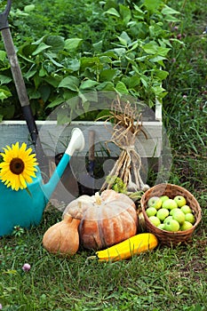 Rich Harvest in the Garden of the high beds and Garden Tools Pu