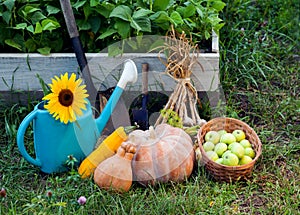 Rich Harvest in the Garden of the high beds and Garden Tools Pu