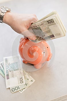 Hand putting a lot of polish money into a piggy bank