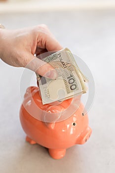 Rich man from Poland. Hand putting polish money into a piggy bank