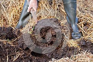 Rich organic mulch from manure and straw.