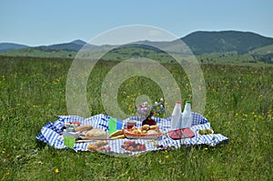 Rich Picnic Food