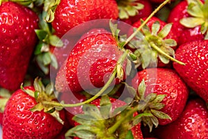 Rich and tasty strawberries naturally for a unique dessert