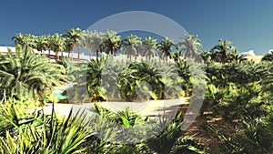 Rich tropical greenery on wasteland in the evening, 3d rendering