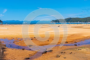 Richardson stream at Abel Tasman national park in New Zealand