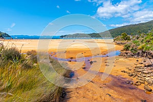 Richardson stream at Abel Tasman national park in New Zealand