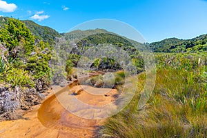 Richardson stream at Abel Tasman national park in New Zealand