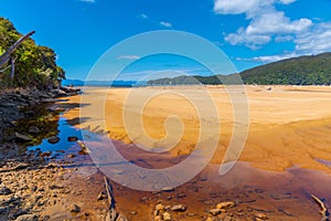 Richardson stream at Abel Tasman national park in New Zealand