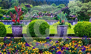 Formal Garden with Flower Pots and Trimmed Hedge photo