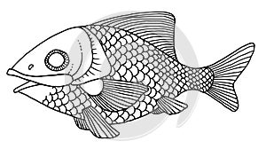 Richly decorated fish hand drawing