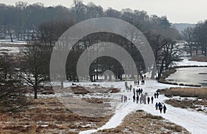 Richmond park in the snow