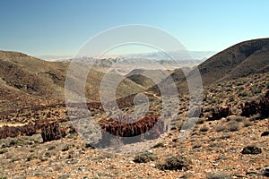 Richtersveld