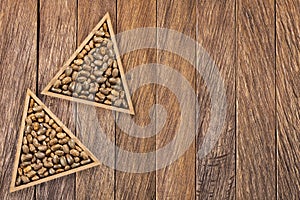 Ricinus communis seeds in the triangular bowl