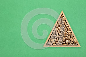 Ricinus communis seeds in the triangular bowl