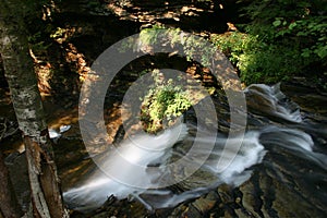 Ricketts Glen State Park Waterfall