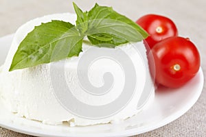 Ricotta