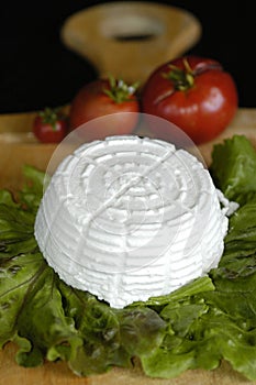 Ricotta