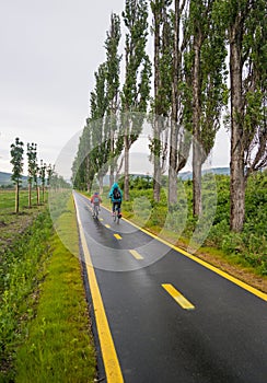 Ride in the cycleway photo