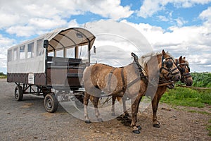 Ride Through the flemish fields with horse and covered wagon. photo