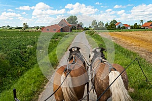 Ride Through the flemish fields with horse and covered wagon. photo