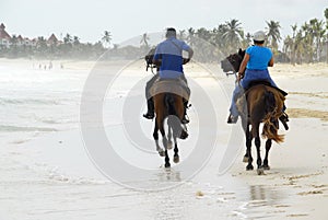 Passeggiata sul cavallo sul Spiaggia 