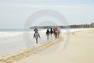 Conducir sobre el caballo sobre el Playa 