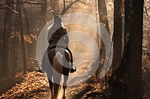Rider in action, man riding a horse, equestrian sport, equestrian theme