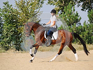 Rider on bay dressage horse, going gallop