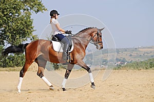 Rider on bay dressage horse, going trot