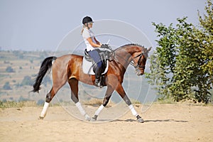 Rider on bay dressage horse, going trot