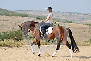 Rider on bay dressage horse, going walk