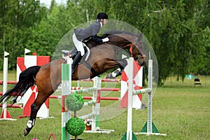 Rider on bay horse jumping obstacle at Concours Hippique show