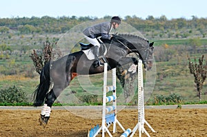 Rider on bay horse in jumping show