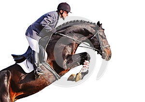 Rider on bay horse in jumping show, isolated