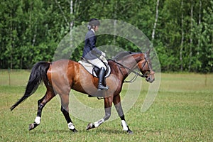 Rider on bay horse riding at Concours Hippique show