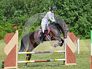 Rider on bay horse in sports jumping at Concours Hippique show