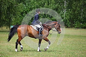 Rider on bay horse trotting on green at Concours Hippique show