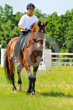 Rider on bay sportive horse