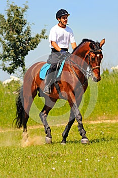 Rider on bay sportive horse photo