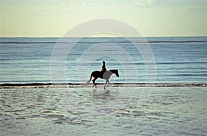 Rider on a beach
