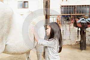 Rider Caressing Horse In Stable