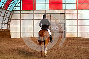 Rider on chestnut horse in riding arena