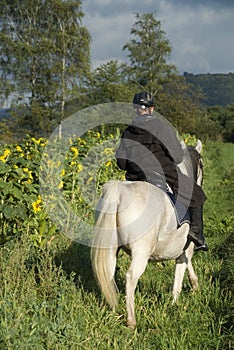 Rider and dandelions