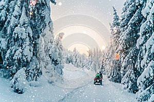 Rider driving in the quad bike race in winter in beautiful snowy road with fir trees in frozen mountains forest. Winter holiday,